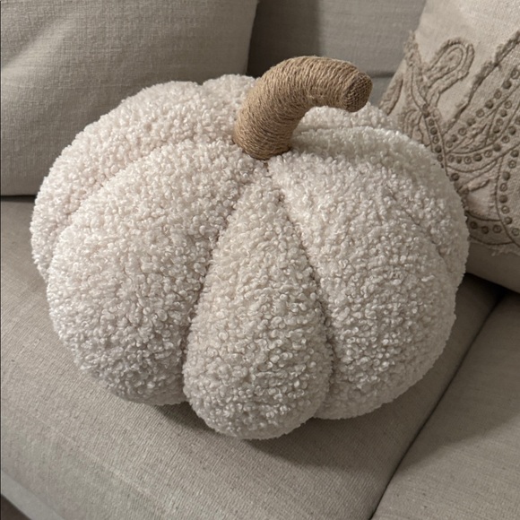 Pottery Barn Ivory Pumpkin Pillow - Picture 8 of 8